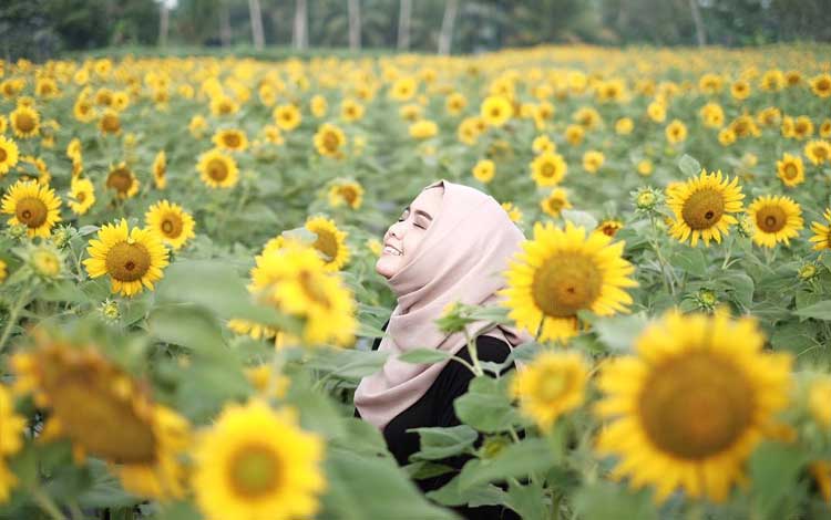Taman bunga terindah di Indonesia